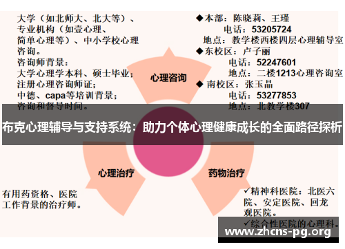 布克心理辅导与支持系统：助力个体心理健康成长的全面路径探析