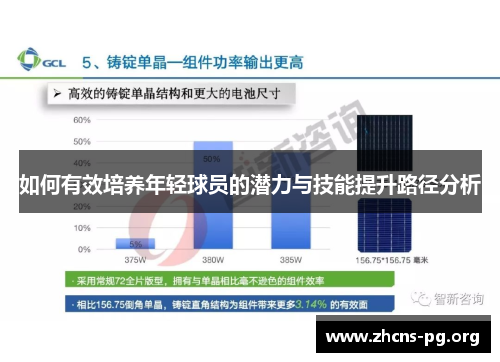 如何有效培养年轻球员的潜力与技能提升路径分析