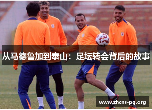 从马德鲁加到泰山：足坛转会背后的故事