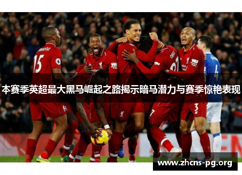 本赛季英超最大黑马崛起之路揭示暗马潜力与赛季惊艳表现