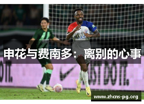 申花与费南多：离别的心事