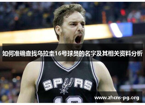 如何准确查找乌拉圭16号球员的名字及其相关资料分析