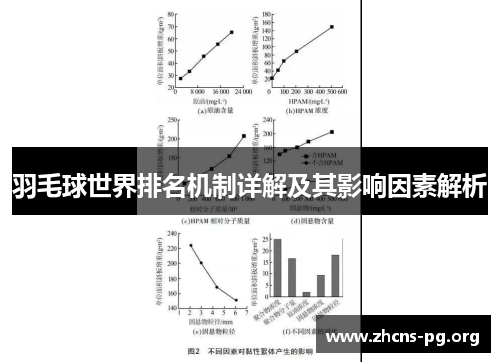 羽毛球世界排名机制详解及其影响因素解析 羽毛球世界排名机制详解及其影响因素解析